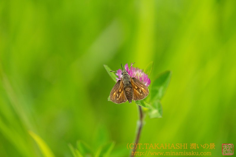 ../Images/7R240721 (270).jpg